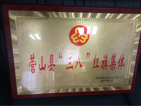 營(yíng)山縣三八紅旗集體獎(jiǎng)牌_meitu_1.jpg