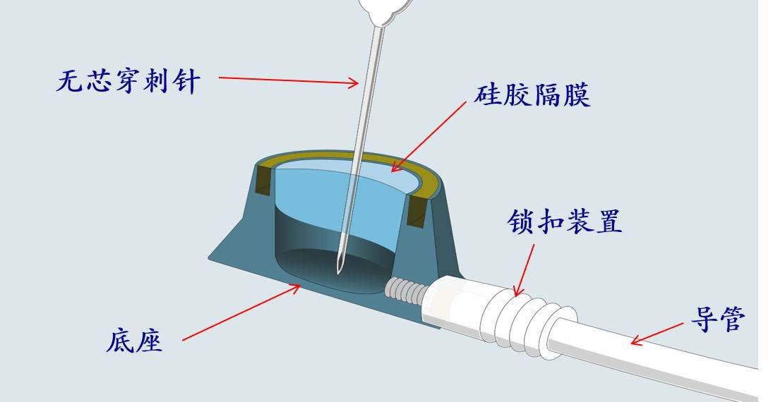 QQ圖片20200228165410.jpg